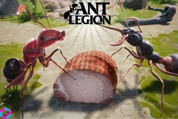 Code Ant Legion